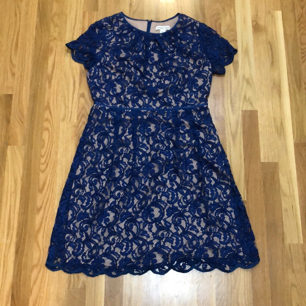 Coldwater Creek Lace Lined Dress